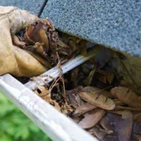 Gutter Cleaning